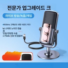 녹음용 데스크탑 게임 노래방 노이즈캔슬링 usb 마이크, 1개, 프로페셔널 1단계 192khz ai 칩 전방향