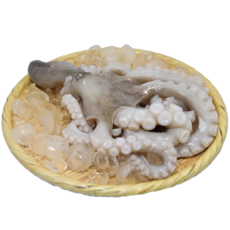 급냉시킨 신선한 산지직송 통통낙지 (냉동), 2개, 0.85kg, 8미