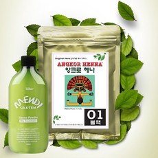 오리지날 앙크로 헤나(분말) 100g 헤나염색 새치염색, 06 내추럴오렌지, 1개