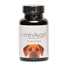 AminAvast 胺腎 犬貓腎臟保健營養補充品，快速出貨，守護寵物腎臟健康, 1個, 10公斤以上大型犬專用