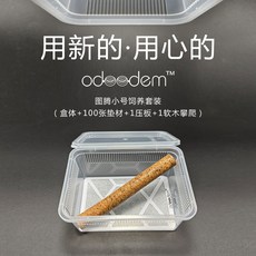 【XL-LX】小號飼養盒 高透通風 好開合 睫角玩具 蛇 蜘蛛 韓式爬盒, 1個, 1 組套裝(盒子 軟木攀爬棍 壓板 無紡