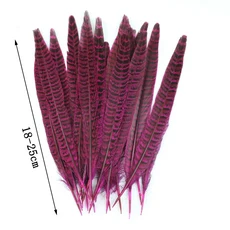 10개/대 DIY 무대 파티 웨딩 테이블 장식 헤드 기어 깃털 선물 공예 재료에 한 자연 꿩 꼬리, 02 장미