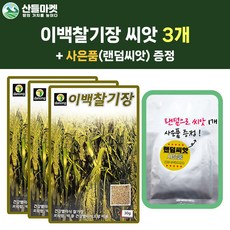 산들마켓 이백찰기장 씨앗 30g 찰기장씨 곡물 종자 3개+랜덤씨앗1개 증정, 1개