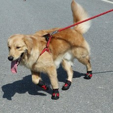 키밍 강아지 방수 레인부츠 외출용, 1개, 블랙