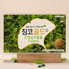 영진약품 징코골드 혈행 개선 및 기억력 개선 은행잎추출물, 120정, 1개