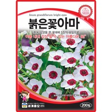세계종묘 붉은꽃아마 씨앗 200립 아마 꽃씨 종자, 1개