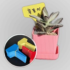 화분픽 T형 식물 라벨 이름표 100P 대, 본상품