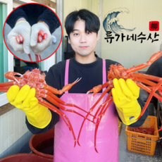 [선주직송] 포항 구룡포 영덕 프리미엄 품질보증 자숙 박달홍게 연지홍게 홍게, 1개, [프리미엄] 박달형홍게 3kg(9~11미)