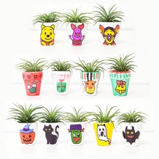 아트박스/에듀팜몰 이오난사 드로잉 화분 만들기 DIY키트 (5종세트), 단품없음, 1개