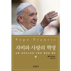 慈悲與愛的革命：教宗方濟各的神學與靈性根源, 分道出版社