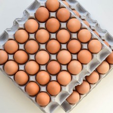 우리집계란 구운계란 구운란 계란 달걀 대란 HACCP 파손보장 랜덤간식 2판부터, 1개, 30구