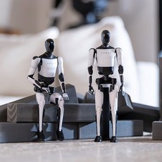 Tesla Bot 테슬라봇 휴머노이드 피규어 인형 로봇 장식품, 1개