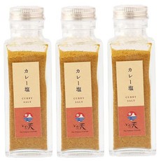 크리에이티브 리조트 카레 소금 90g×3개, 1개, 1g