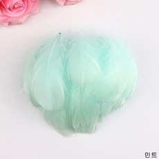 드림캐쳐 DIY 공예용 거위 깃털, 민트