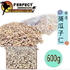 PERFECT 精選葵瓜子仁 600g 寵物零食 適用鸚鵡蜜袋鼯倉鼠, 1個