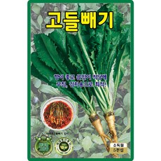 식물의집 고들빼기 씨앗 고들빼기 씨 민속채소씨앗 씨, 1개