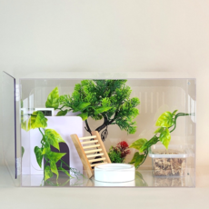 빌드몬스터 도마뱀 파충류 게코사육장 아크릴사육장 세트 40x30x25(cm), 1개, 투명 A타입세트