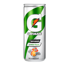 게토레이 레몬, 240ml, 5개