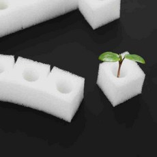 수경재배 모종 발아 스펀지 100조각 수경농장