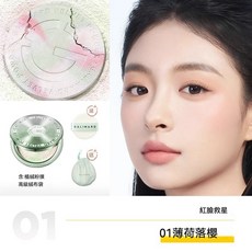 金幣粉餅 控油補妝定妝粉餅 控油持妝保濕粉餅, 1個, 01薄荷落櫻