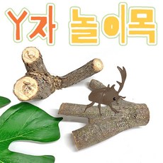 놀이목 곤충사육 용품 장수풍뎅이 사슴벌레 천연 나무 천연목 Y자놀이목