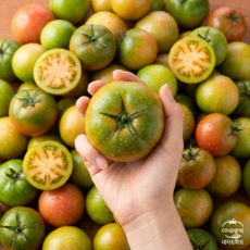 [농장특가] 대저토마토 짭짤이 토마토 초고당도, 1개, 1kg