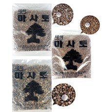 세척마사토 2kg 4봉지묶음 마사토 마사 + 무당벌레 장식셋트, 02.세척마사(중)4봉지, 2000g