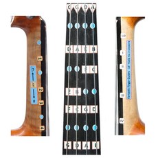 환상적인 핑거 가이드 (비올라용) | 현악기 | 모든 음표 Fantastic Finger Guide for Violas | Stringed Musical Instruments |, 14인치