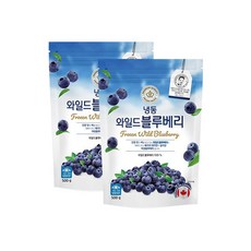 생활앤 냉동 와일드 블루베리(캐나다) 500g x 2팩, 2개