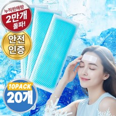 레비엔 시원한 아이스 쿨패치 붙이는 냉각시트, 20개