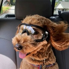 반려동물 야외 헬멧 방풍 투명 강아지 고양이 오토바이 라이딩 안전 보호 모자, 1개, S 투명 보호 안경