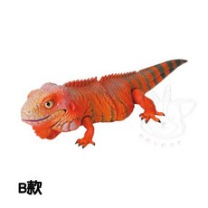 BANDAI 生物大圖鑑 美洲鬣蜥與睫角守宮 轉蛋 扭蛋 模型 全5款, 1個, B款/紅色美洲鬣蜥2I242