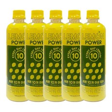 알티스트 레몬파워 농축레몬주스, 5개, 500ml