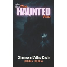 (영문도서)Shadows of Zvikov Castle Paperback, Independently Published, English, 9798267131889