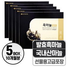 흑마늘 진액 헬시위듀 흙마늘즙 액기스, 5박스, 4.8L