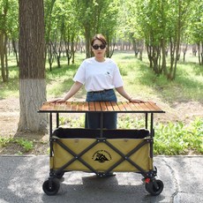 플리마켓 매대 대형 노점웨건 로드 검정 트레일러 천장, 기본 모델명/품번, 1개, 다크 나이트 컬러 캠핑 120x60 우드 컬러