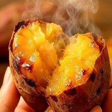 꿀팜즈 달콤포슬 명품 해남 호박고구마, 1박스, 특상 5kg