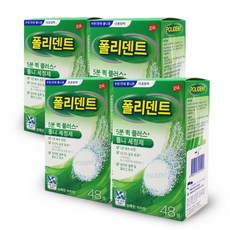 폴리덴트 5분 클리닝정 틀니세정제, 4개
