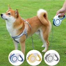 반려동물 리드줄 자동줄 5m 산책용 블루색 외출용품