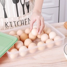 싱싱트레이 24구 계란케이스 에그 달걀보관함, 상세설명 참조, 1개