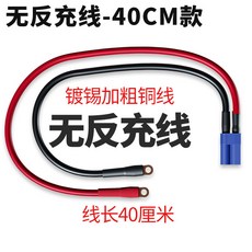 汽車機車應急啟動電源線 充電寶搭火線 EC5 公母插頭 電瓶連接線配件, 1個, 無防反充線40cm