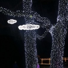 50m 화이트 전원잭 500구 포함 전구 투명선 구성 지니 led 59959pc 1(PC), 색상, 1개
