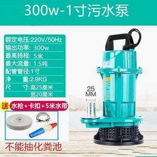 수중 수중펌프 스텐 하수 농업 마력 오수 워터 1마력 양수기, 100-240V, 5 동심 550W 1인치 청수펌프 4m 라인