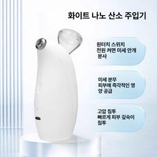 앰플분사기 앰플스프레이건 업소용 미용분사기 수분 에스테틱 피부샵분사기 제품 피부샵 얼굴 미스트기기, 흰색 돌핀: 고압산소+즉시분무+흡수보습, 기본 모델명/품번