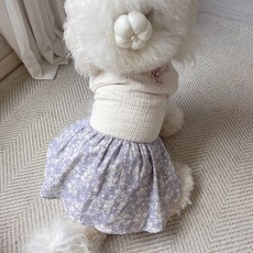 Grooming Dog 寵物手工簇頭里, 象牙白