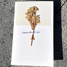 드라이플라워 안개꽃 카드 꽃집 조화 감사 축하 감성 편지지