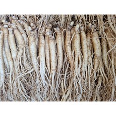 실속형 황삼계 6년근 풍기인삼도매 500g(15-30뿌리) 750g(30-40뿌리) 1000g(40-60뿌리) 6년근 삼계탕 갈비탕 백숙용 튀김용, 500g, 2세트