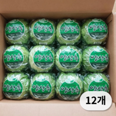 국내산 양상추 샐러드용 식자재용, 12개