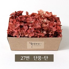 화연양화 프리저브드플라워 블루밍 케이스 수국 30색, 27 단풍-탄