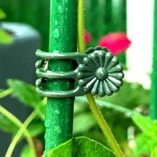 원예용품 식물 고정 집게 꽃집게 (10개), 상세페이지 참조